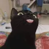 NHÈ NHÈ NHÈ NHÈ NHÈ NHÈ NHÈ