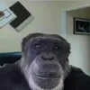 h7ta9