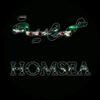 homs93sy