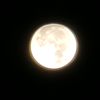 user6s91bxo3yl