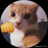 yungsage123