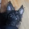 floor_gg