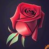 razia_akhals