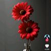 user8255337