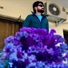 shahhussainsami