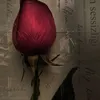sc_live80