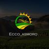 ecco_asmoro