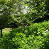 otota1115