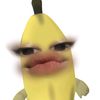raraacegil_