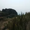 comeabacatebem