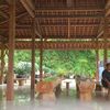 kangpurwo78