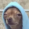 gay_depressed.puppy