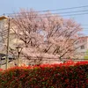 minmin415