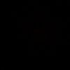 yanz_9