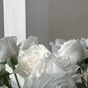 aleyynacanimmm
