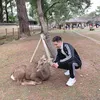 kubo_995
