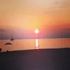roxellarox0069