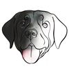 ONE LINE ART • pet portraits