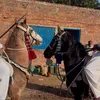 jattjee_001