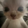 wwywr9