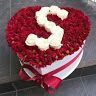 alqassime