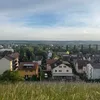 cheesy_maus