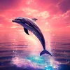 dolphin_7_7