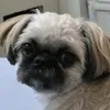bossphaw