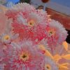 nabil.samir3