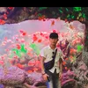 anhminh5585