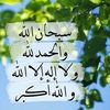 faisal.al.omany