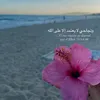 aylmina