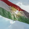 shimalmsalih