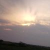 laughing_345