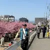 tuanlinh.jp