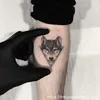 timlaibautroi94