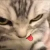 khlyahihi