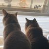 coffeeandfrenchy