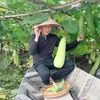 duy_tuong198