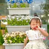 besua_hana