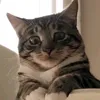 tasia_aaa0