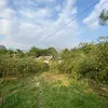 cthuyen_033
