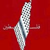 ahmedalsayad4
