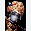 jitendrashah7777