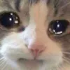 usercuti_5