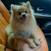 about_melvin_millie