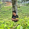 romisaputra123