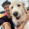 skyrundiaries