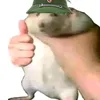userltgcpbd12y