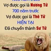 huybinhqn